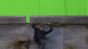 Insurgent_-_Official_Sneak_Peek_43.png