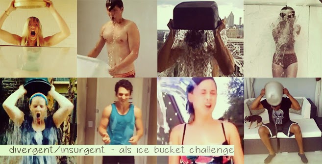 ALSicebucketchallengedivergent