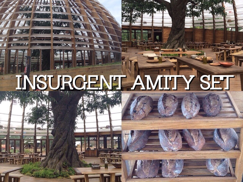 New Fan Photos From Insurgent Amity Set Reveal Great Attention To