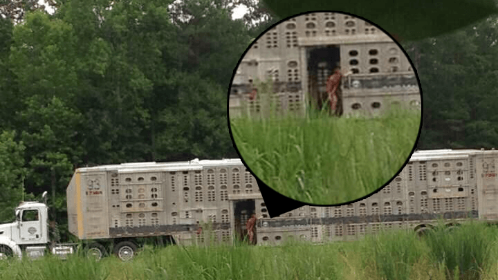 Photos: New Insurgent Fan Set Pic Shows Theo James in Action and Amity Clothing